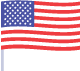 An icon of a USA flag